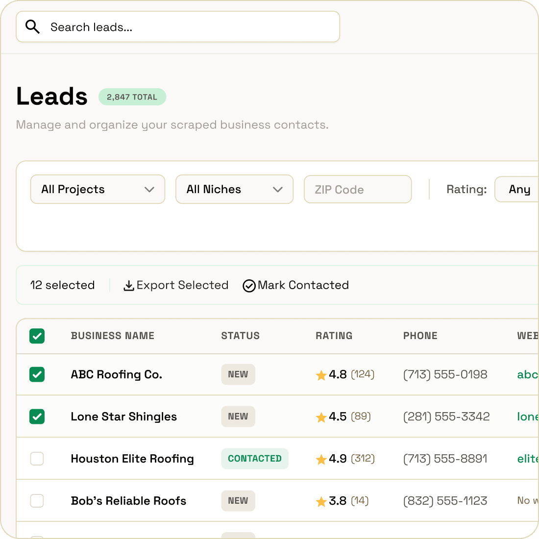 Local Leads leads table with filters, selection and 5 rows showing business name, status, rating, phone and website